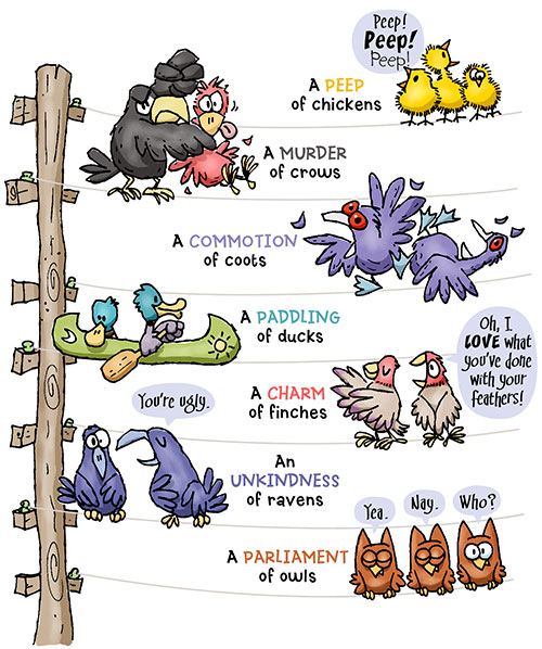 09-bird-talk 09-bird-talk