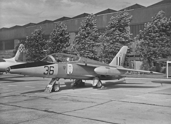 XP530_GnatT1_18091965_1280