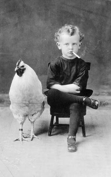 your argument is invalid, I have a chicken!