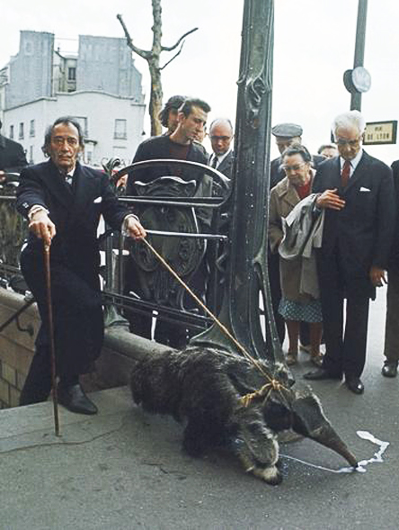 dali_anteater Hvad glor de på, har de aldrig set en surrealist med en myresluger?