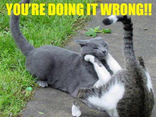 doinitwrong
