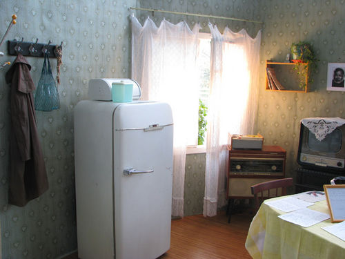 fridge Nogle havde ligefrem køleskabet i hjemmet/værelset