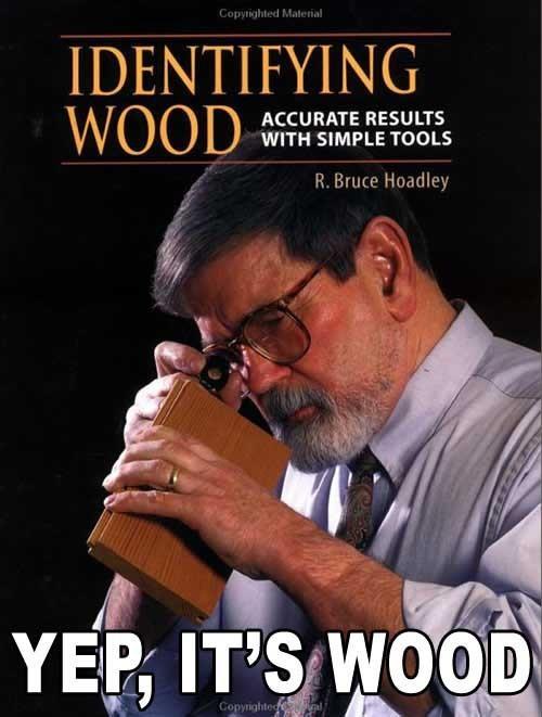 identifyingwoodstupidbois1