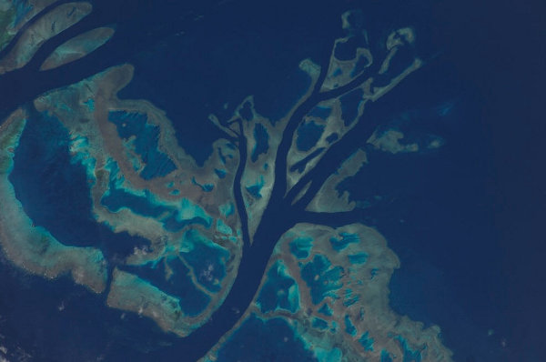 iss009