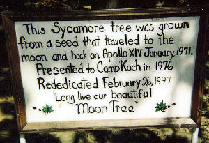 moontree04