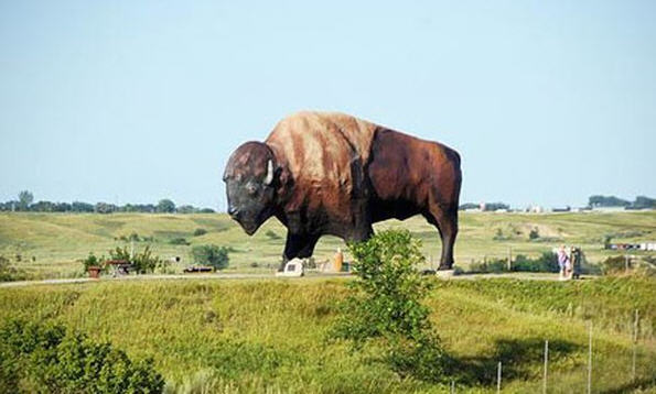 Verdens største bøffel