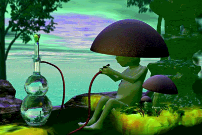 shrooms-1