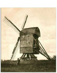 stubmoelle