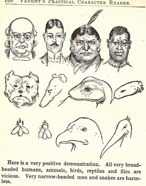 v01 v01