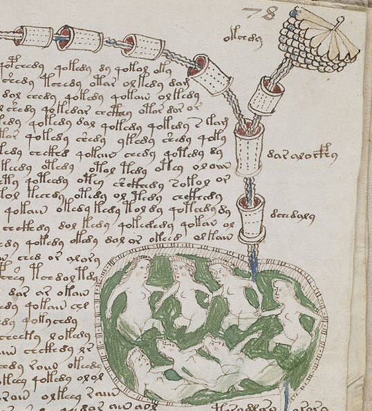 v04 En side fra Voynich manuskriptets kapitel om biologi