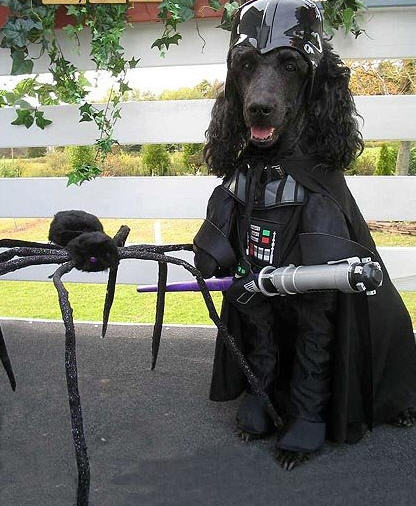 vader02 vader02