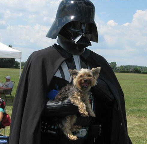 vader09 Passe kæledyr
