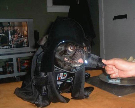 vader09 vader09